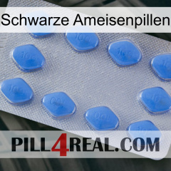 Black Ant Pills 21